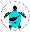 cypruseye-com.pages.dev favicon